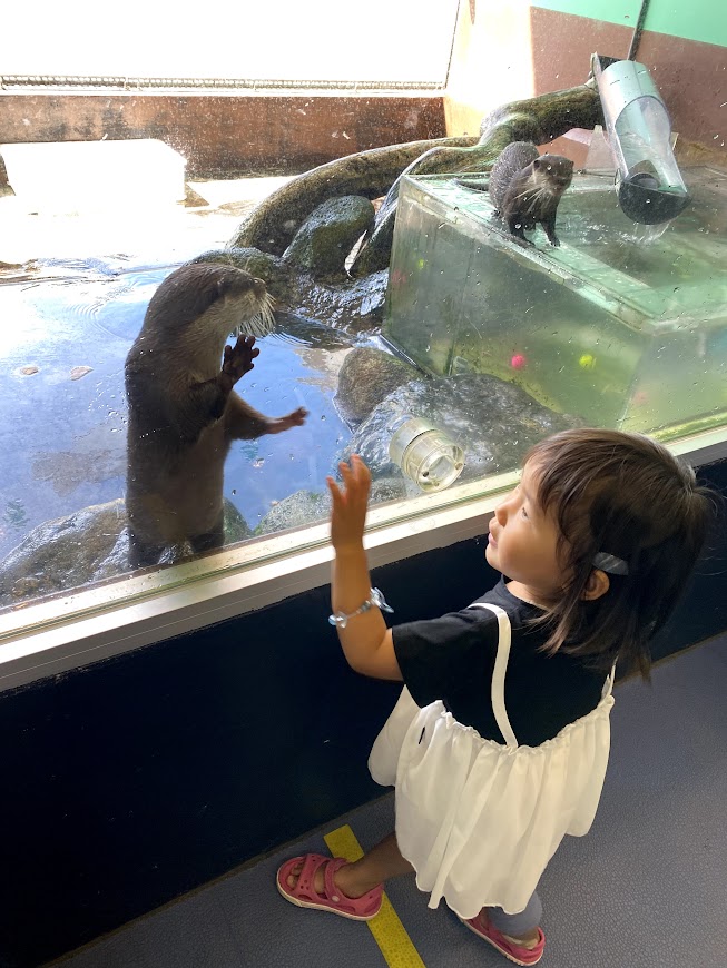 立ち上がるカワウソとそれを眺める女の子