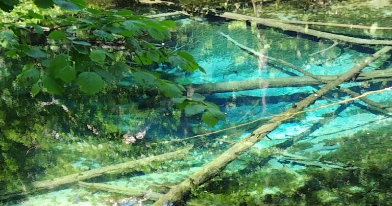 神秘的な霧の摩周湖(カムイトー=神の湖)の側にある【神の子池】とダイナミックな命の連鎖|さくらの滝
