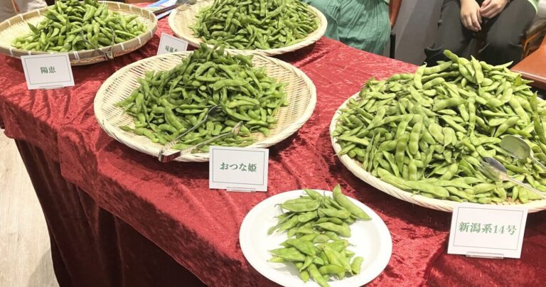 新潟産の枝豆を心ゆくまで堪能できる！「新潟えだまめ盛フェス」に行ってみた～後編～
