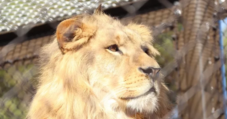 何度も行きたくなる動物園！愛知県豊橋市『のんほいパーク』【前編】