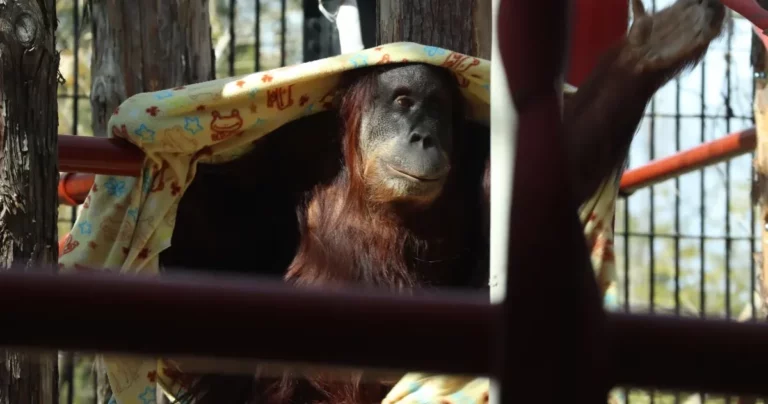 何度も行きたくなる動物園！愛知県豊橋市『のんほいパーク』【後編】