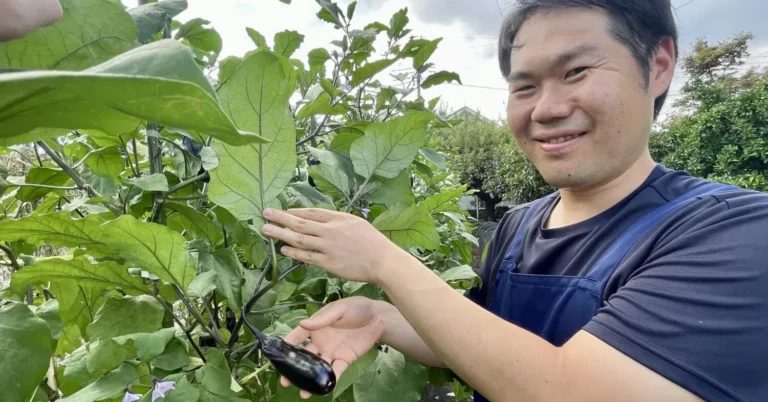 西東京市の野菜がウンマイ！FioNuku（貫井農園）で味わう、畑の恵みたっぷり絶品パスタ