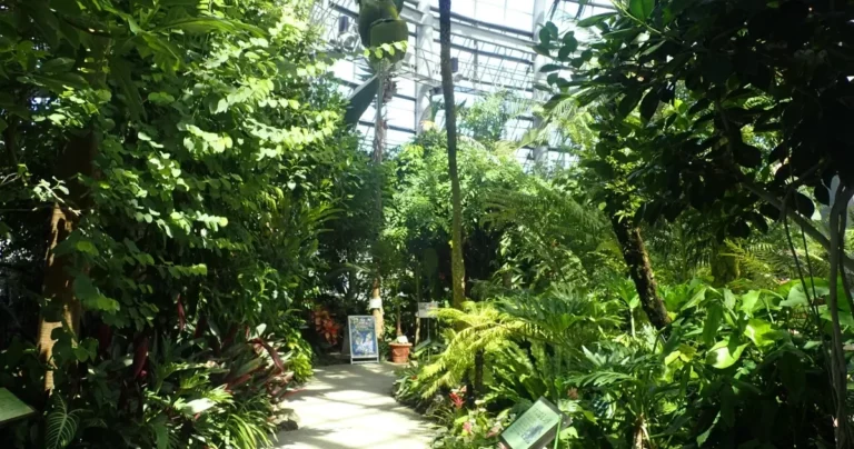 多様な自然にふれて学べる植物園！愛知県『豊橋総合動植物公園』