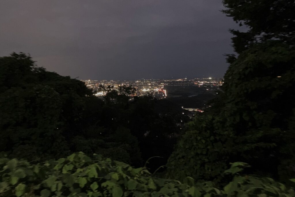 展望台からの夜景（右)