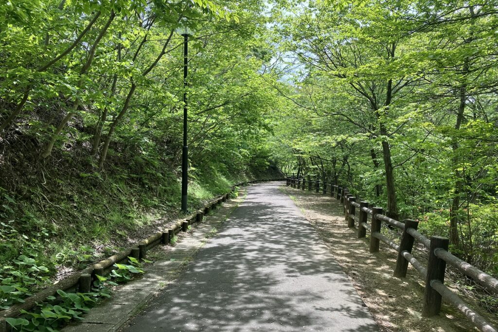 芝生広場へつながる遊歩道.