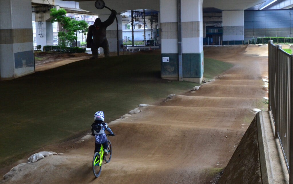 集まれBMXライダー！「ゴリラ公園」は本格的なコースがある最高の練習スポット｜埼玉県川口市 | Mediall（メディアール）