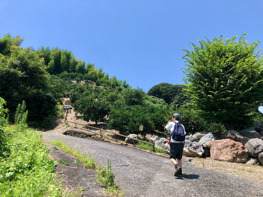 みかん畑とみかんを運ぶトロッコを眺めながら山頂へ