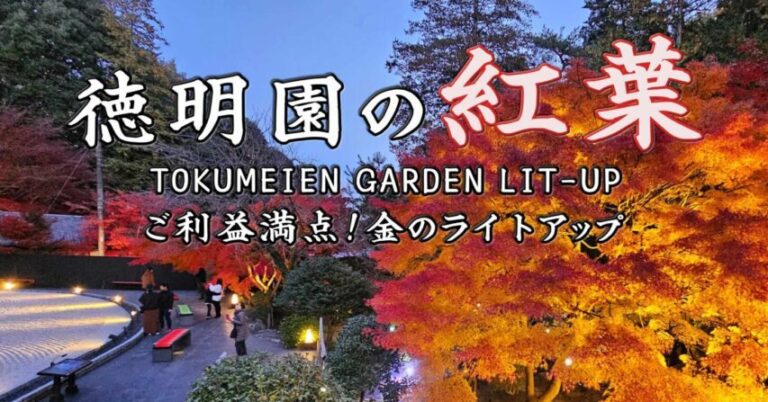 群馬県高崎市の「徳明園で秋の紅葉ライトアップ」開催！日本庭園が幻想的な光に包まれる