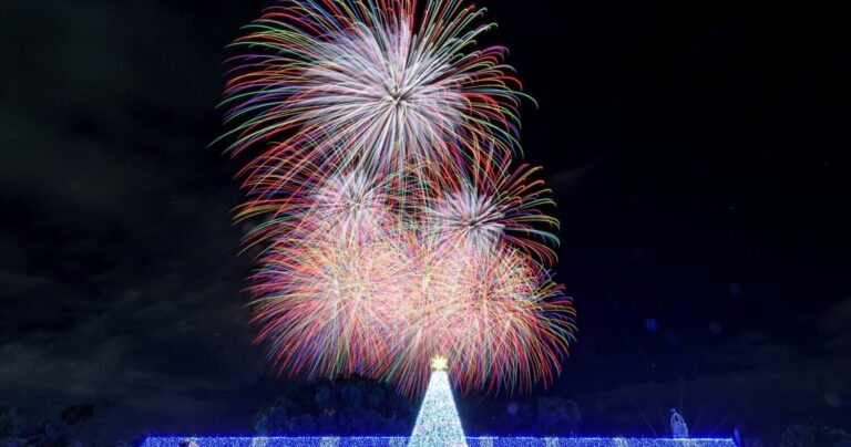 夜空に咲く大輪の花！冬の新感覚エンターテインメント｜愛知県名古屋市