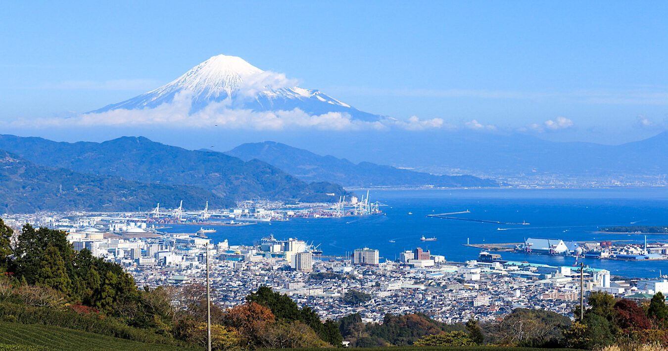 日本平で清水の魅力を満喫【 前編 】｜茶畑やみかん畑の間を歩いて