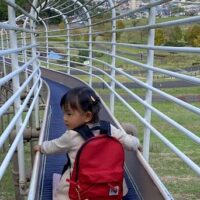 おだわら諏訪の原公園のローラーすべり台をすべる女の子