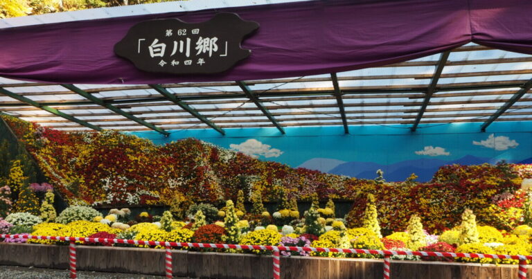 「弥彦菊まつり」新潟屈指のパワースポットで日本一の菊の展覧会が開催｜新潟県弥彦村