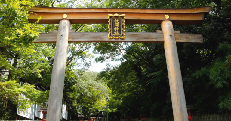 地元愛でつながる！枚岡神社「河内おいしいもん市」の魅力｜東大阪市
