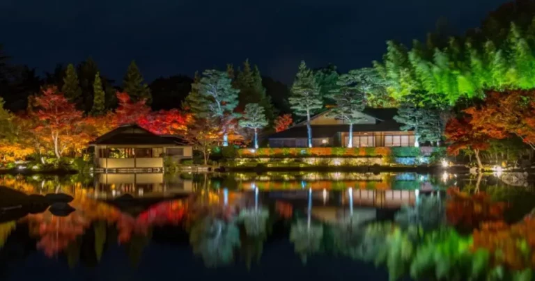 黄葉・紅葉まつり＆秋の夜散歩｜国営昭和記念公園