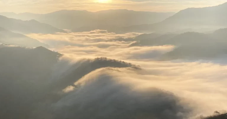 枝折峠（しおりとうげ）の滝雲｜死ぬまでに一度は見てほしい！自然が織りなすレアな絶景