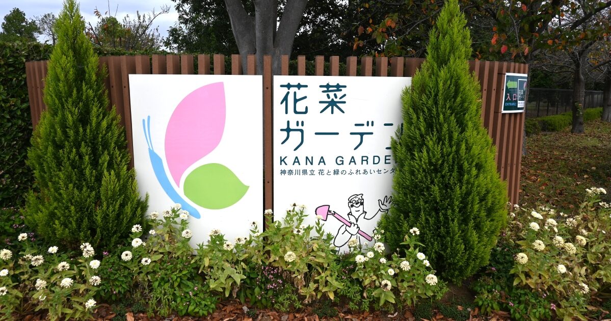ローズフェスティバル2024～秋～開催！四季で楽しめる｜平塚・花菜