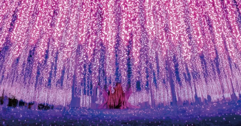日本三大イルミネーション「あしかがフラワーパーク 光の花の庭」開催中！｜栃木県足利市