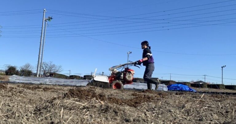 飯能市で「農ある暮らし」を実現！ ３児のママが一人で挑む固定種野菜の魅力