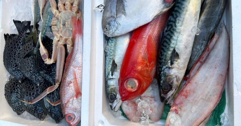 【大津市石山商店街】都会の中の小さな漁港「魚辰」｜滋賀県大津市