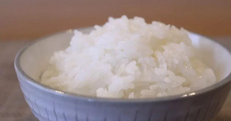 やっぱりうまい！庄内米！おすすめ銘柄とご当地ごはんのお供｜山形県 庄内地方