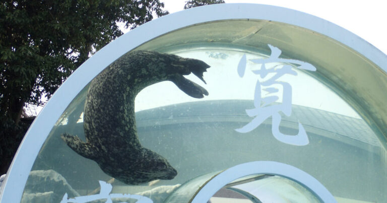 【2025年最新】新屋島水族館リニューアルへ！必見の『世直し侍』などのイベントはどうなる？｜香川県高松市【前編】