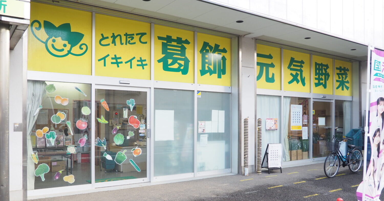 津山洋子の裸 