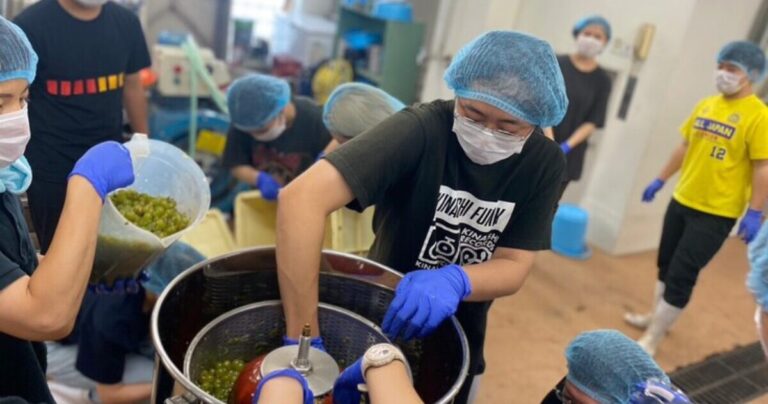 「ワイン県」山梨の情熱と革新｜ 山梨大学ワイン科学研究センターが挑む、新たなワイン造り