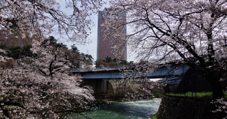 子どもと一緒にお花見が楽しめる群馬の公園4選