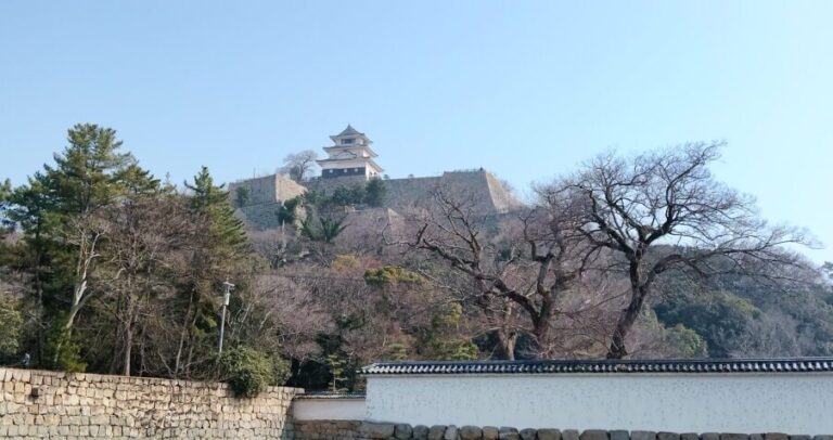 3つの日本一を保有する丸亀城を散策してみよう