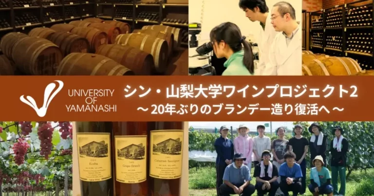日本初の大学ブランド・ブランデー商品化へ―クラウドファンディング開始｜山梨大学ワイン科学研究センター