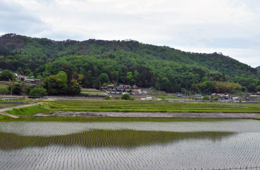 田園