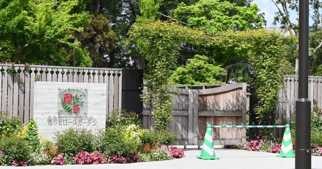 リニューアルオープン！世界を旅できるローズガーデン【前編】｜神奈川