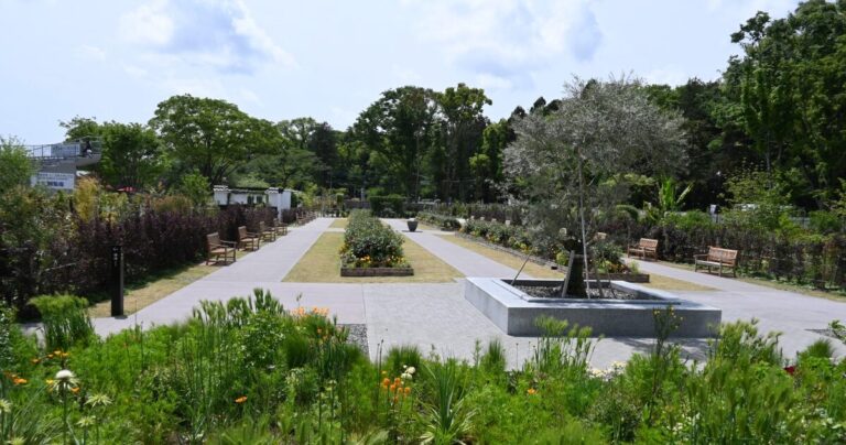 リニューアルオープン！世界を旅できるローズガーデン【後編】｜神奈川県綾瀬市
