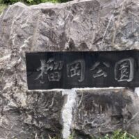 日本の都市公園100選＆緑の名所100選に選ばれた！桜の名所「榴岡公園」