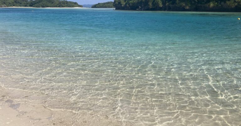 澄み切った海の世界を堪能！冬でも泳げなくても絶景を楽しめる川平湾