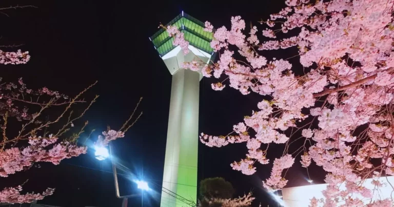 函館旅行の必訪地！五稜郭タワーで歴史と絶景を楽しもう