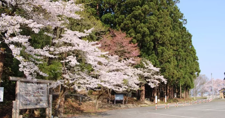 健康祈願に訪れたい 全国でもめずらしい犬と猫のパワースポット 犬の宮・猫の宮｜山形県高畠町