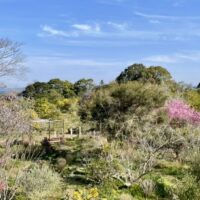 カフェ2階テラス席から見る景色