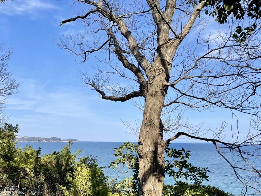 海辺からの景色１