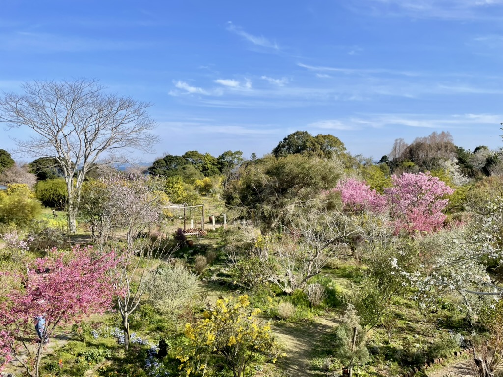 カフェ2階テラス席から見る景色