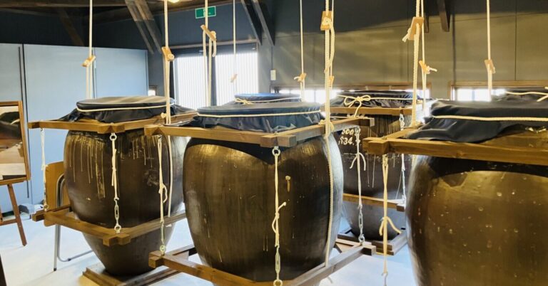 1人でもOK！温泉街ならではの焼酎蔵 大和一酒造元の蔵見学の魅力とは？【人吉市】