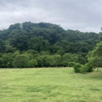 キャンプもハイキングもできる！わがまち緑の名所100選の一つ「水の森公園」