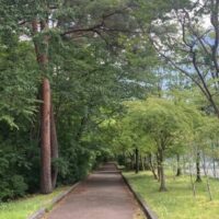 野球もテニスもできる！桜並木がきれいな「桜ケ丘公園」