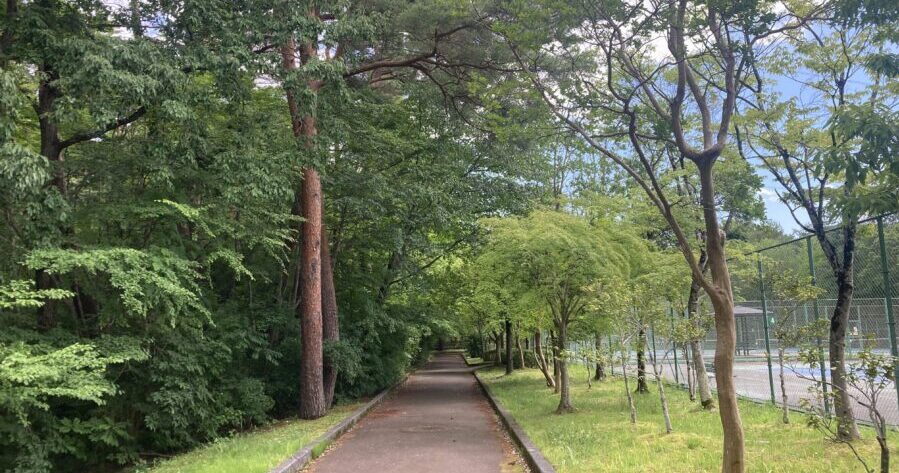 野球もテニスもできる！桜並木がきれいな「桜ケ丘公園」