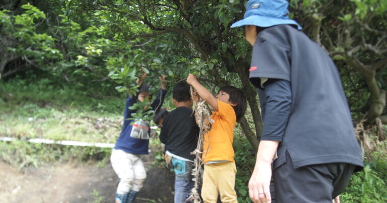 「NPO法人みんなダイスキ松山冒険遊び場」現地取材【前編】｜愛媛県松山市