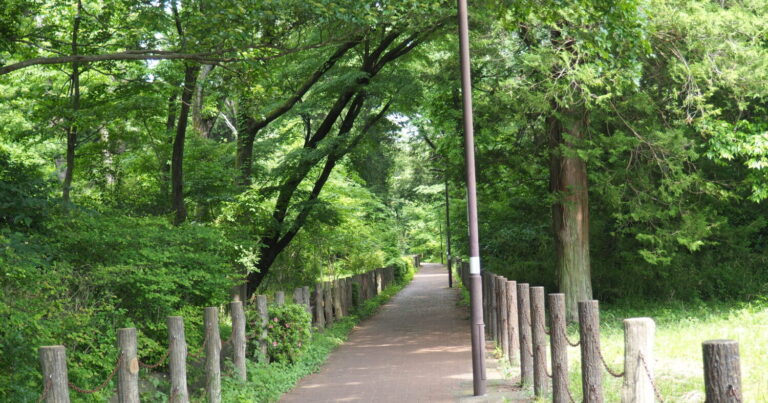 木漏れ日差し込む緑の道！お散歩にもおすすめな「相模緑道緑地」を全部歩いてみた【後編】