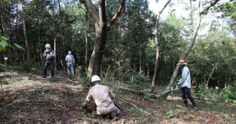 磐山の里山再生とSDGs｜市民活動グループ『あかいわ美土里の和』の14年間続く活動とは？