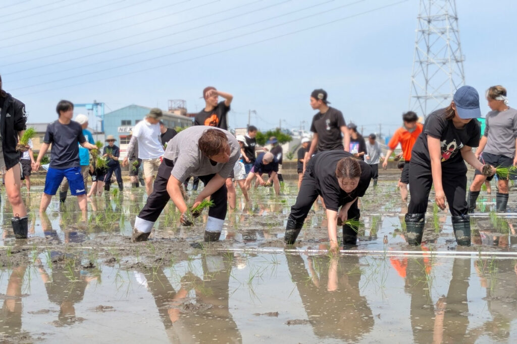 てつじの酒ー2025年5月田植えイベントの様子