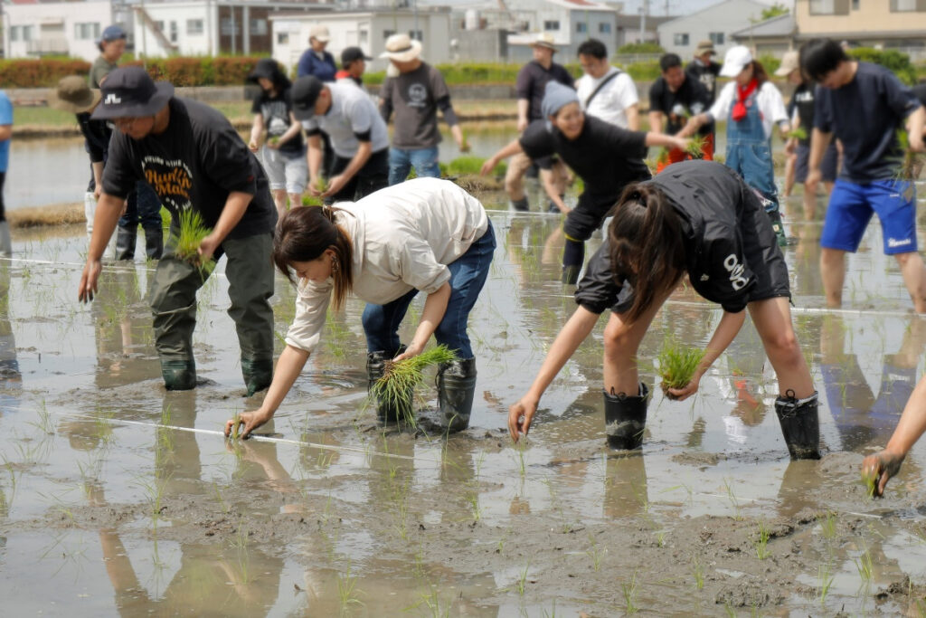 てつじの酒ー2025年5月田植えイベントの様子