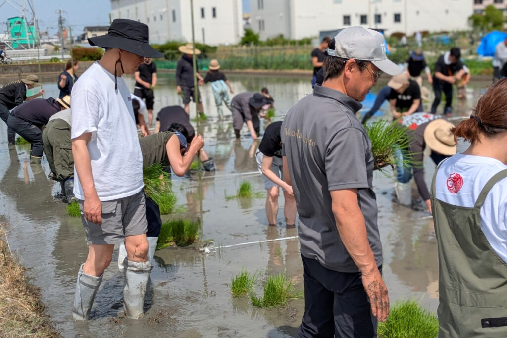 てつじの酒ー2025年5月田植えイベント:田んぼへ入るてつじさん